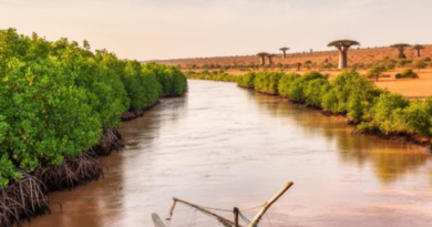 Gambia River: significant rise in water levels at Simenti and Gouloumbou, Kédougou under vigilance
