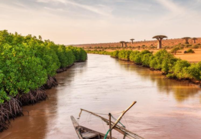 Gambia River: significant rise in water levels at Simenti and Gouloumbou, Kédougou under vigilance