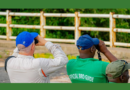 The Gambia birdwatching experience