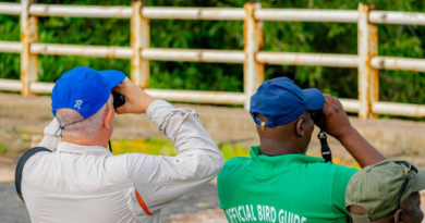 The Gambia birdwatching experience
