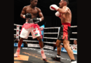 professional boxing career