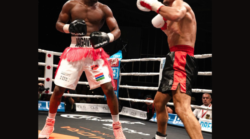 professional boxing career